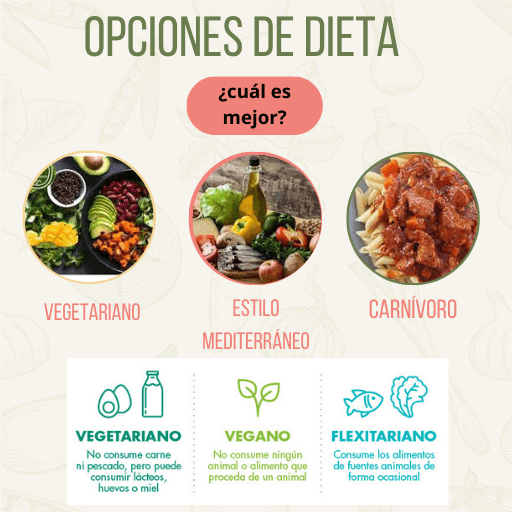 ¿Cuál estilo de dieta es más saludable?